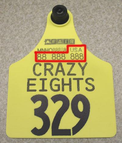 yellow ain tag with USA 88 888 888 circled in photo