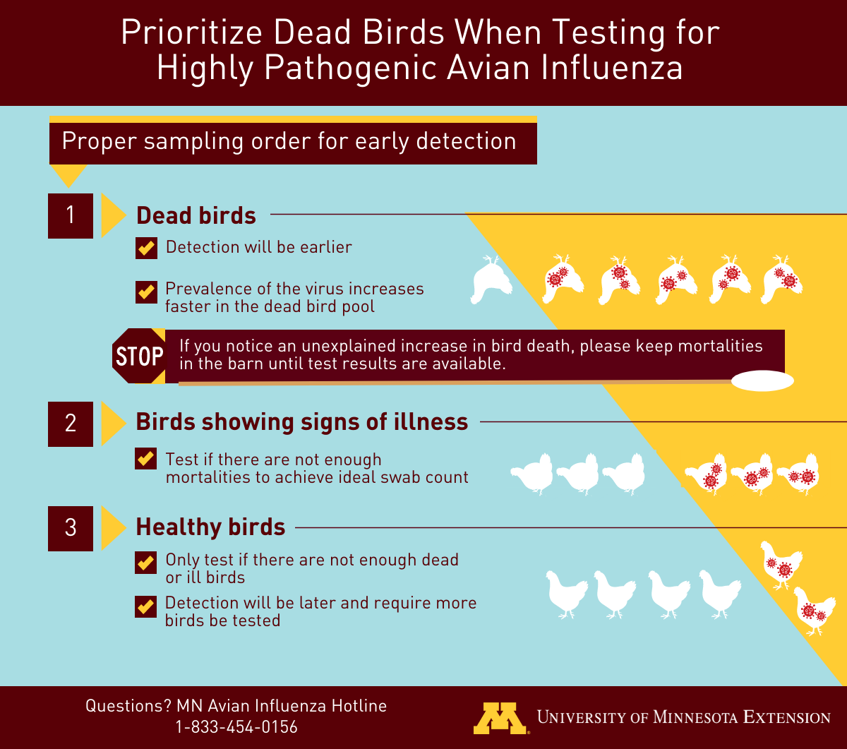 Collecting Highly Pathogenic Avian Influenza Samples | Minnesota Board of Animal  Health