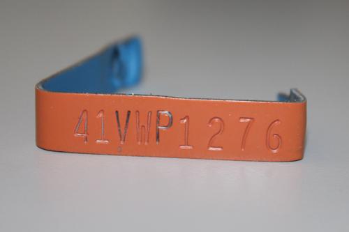 organge metal brucellosis vaccination tag with numbers and letters imprinted