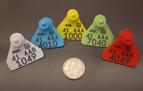 small plastic nues tags in white, blue, yellow, green, and red