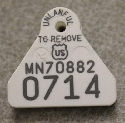 backside of white plastic scrapie flock tag with id number