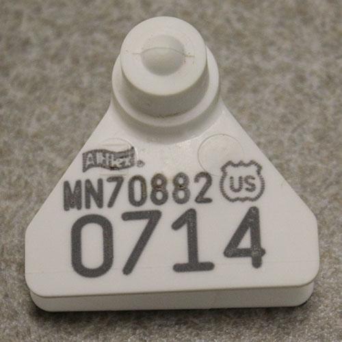 white plastic scrapie flock tag with id number